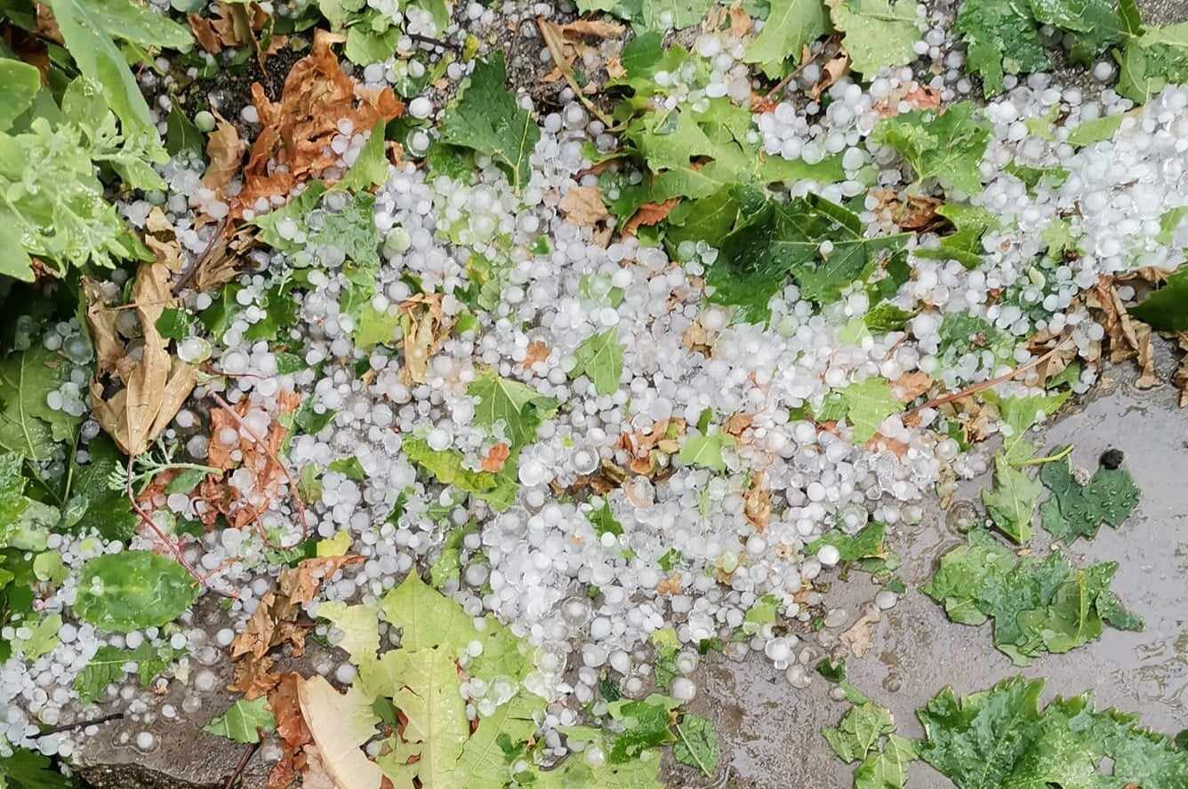 Градушка като лешник помля карловско село СНИМКИ 