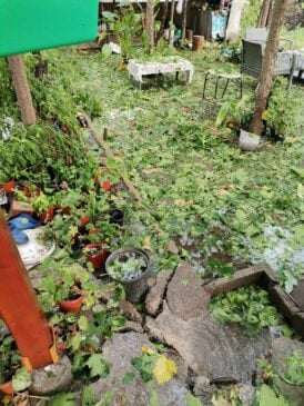 Градушка като лешник помля карловско село СНИМКИ 