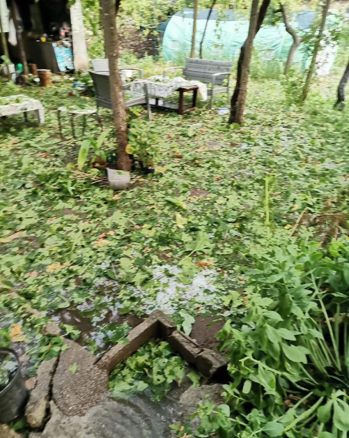 Градушка като лешник помля карловско село СНИМКИ 