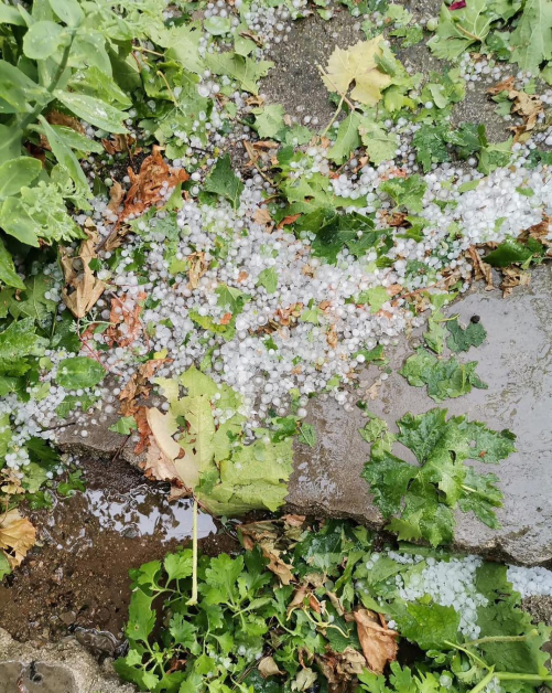 Градушка като лешник помля карловско село СНИМКИ 