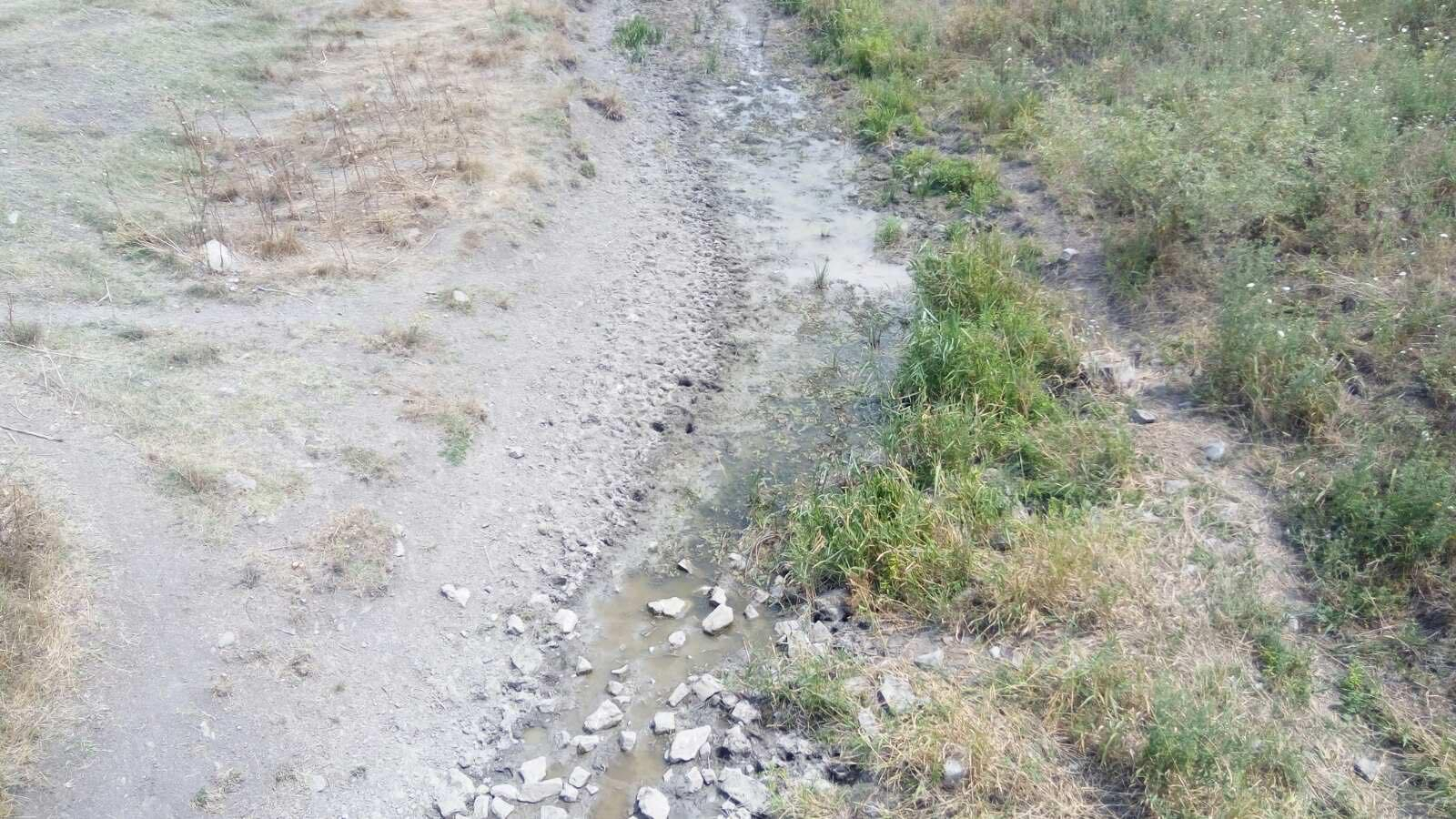 Кошмар: Най-големият приток на Тунджа е осеян с трупове, местните са в шок СНИМКИ 18+