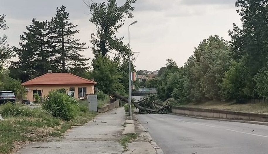 Бурята се разрасна: Помете тази част от България, затвори пътища ВИДЕО