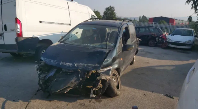 Огромна трагедия с жена и 8 г. дете по тъмна доба край Бобошево СНИМКи