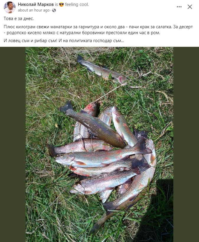 Николай Марков шашардиса всички с тези думи на какво е господар СНИМКА