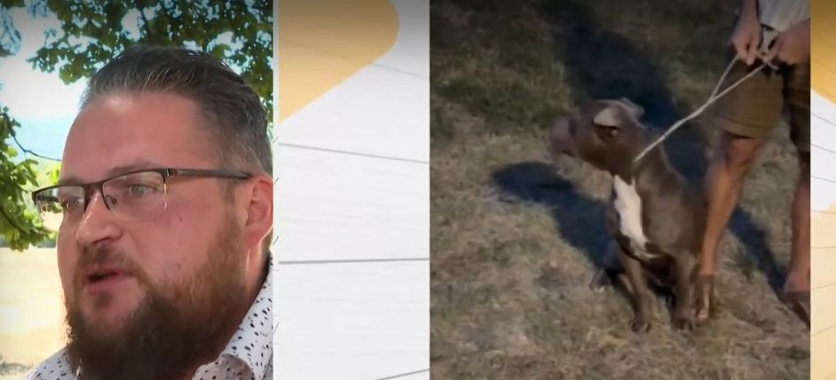 Убийство в Южния парк в София, смразяващи кръвта подробности ВИДЕО 18+