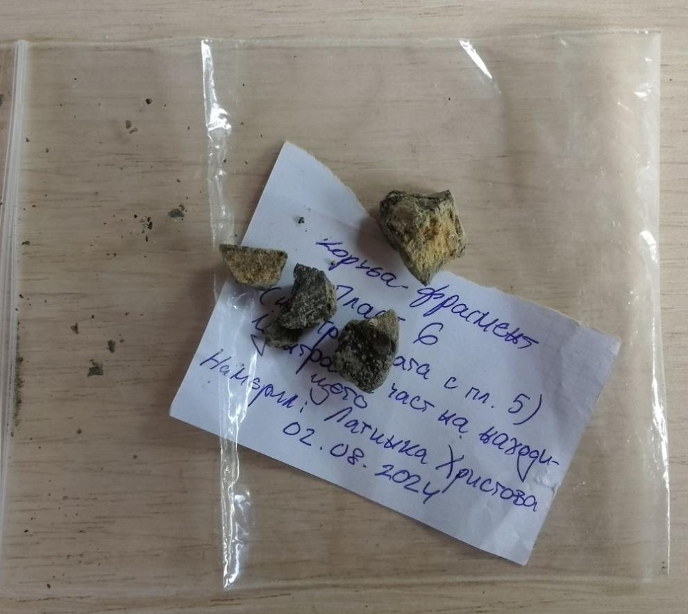 Родни учени никога не са вярвали, че ще открият такова чудо до Трън