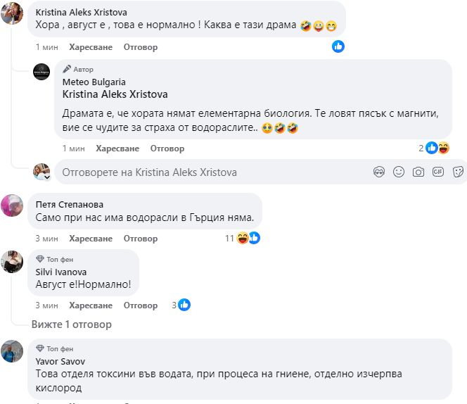 "Зелена супа" погнуси плажуващите по Черноморието, има ли място за паника?