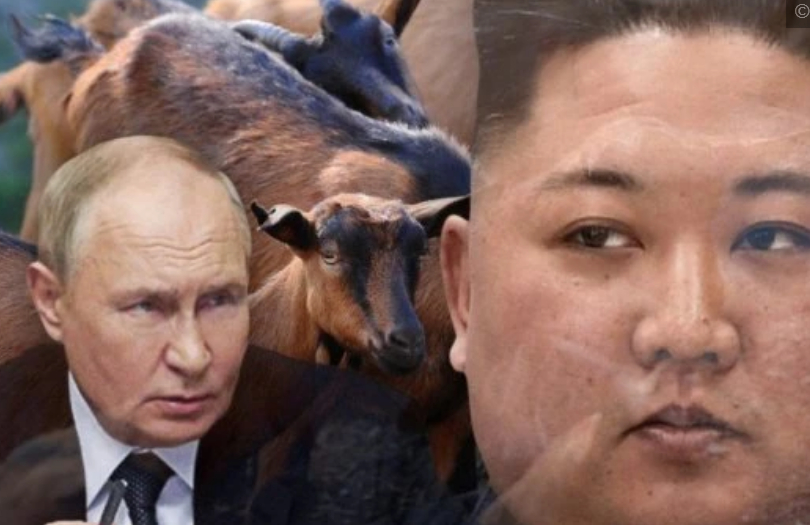 Няма такъв подарък: Ето какво прати Путин на своя другар Ким