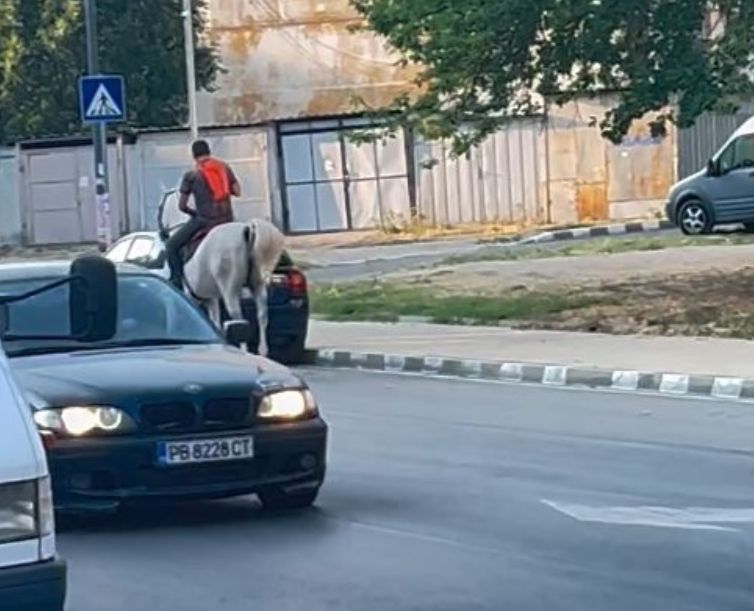 Принц на бял кон си търси принцесата между панелките в Асеновград СНИМКИ