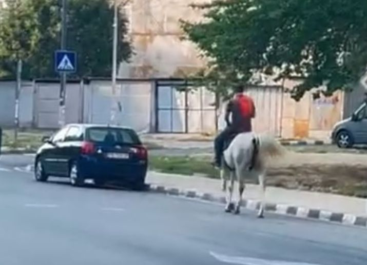 Принц на бял кон си търси принцесата между панелките в Асеновград СНИМКИ