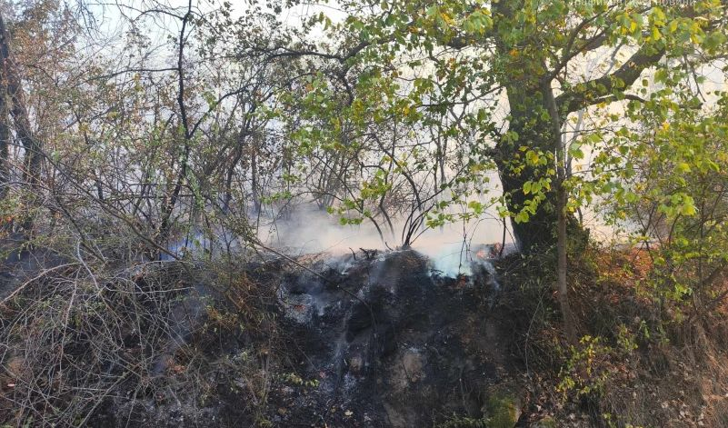 Запали се едно от тепетата на Пловдив, хората изскочиха уплашени от къщите ВИДЕО