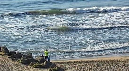 Смъртоносна опасност и голяма напаст дебнат туристите на морето 