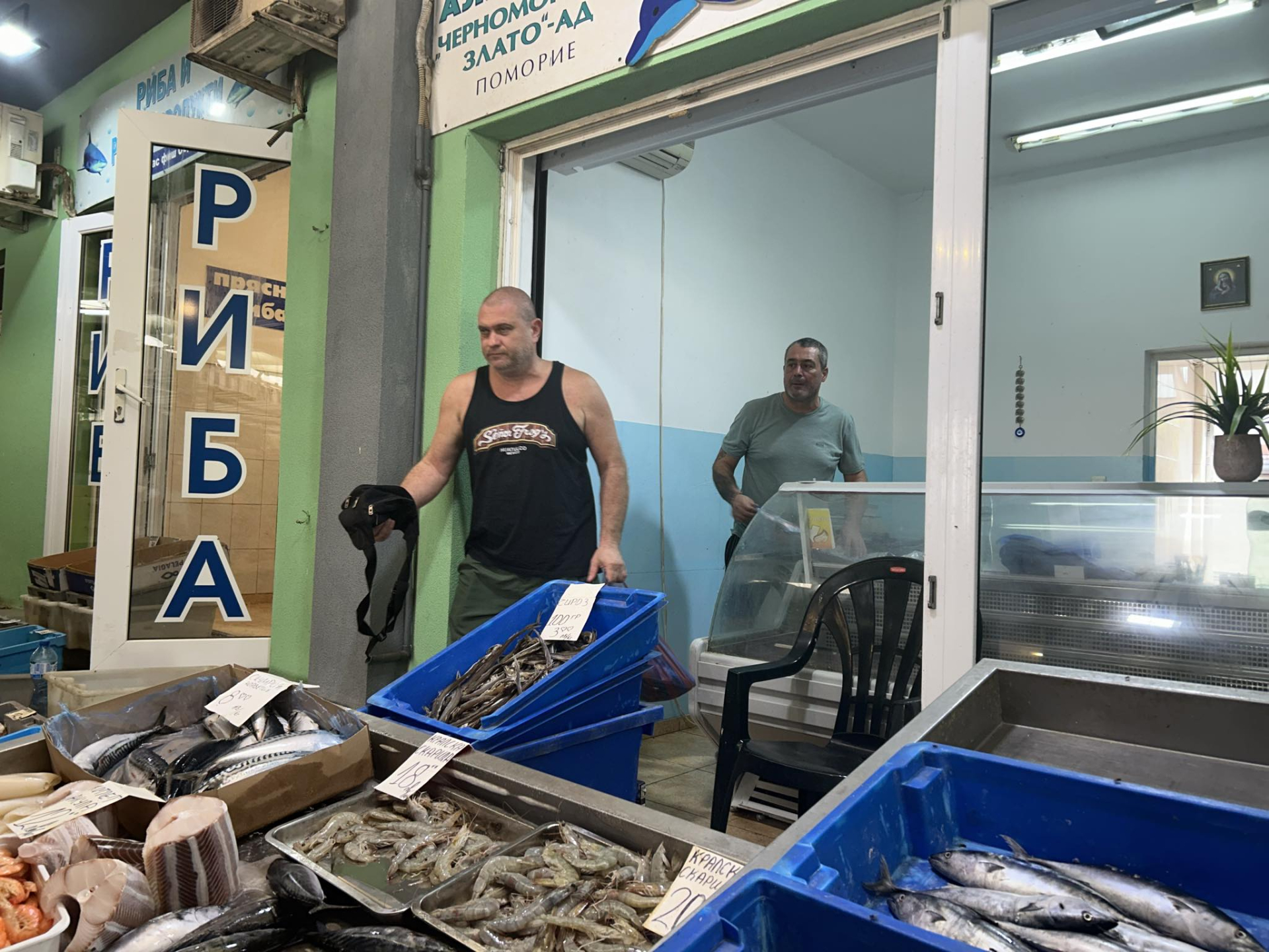 Любима риба стана кът в Черно море, търговци цакат феновете й със...