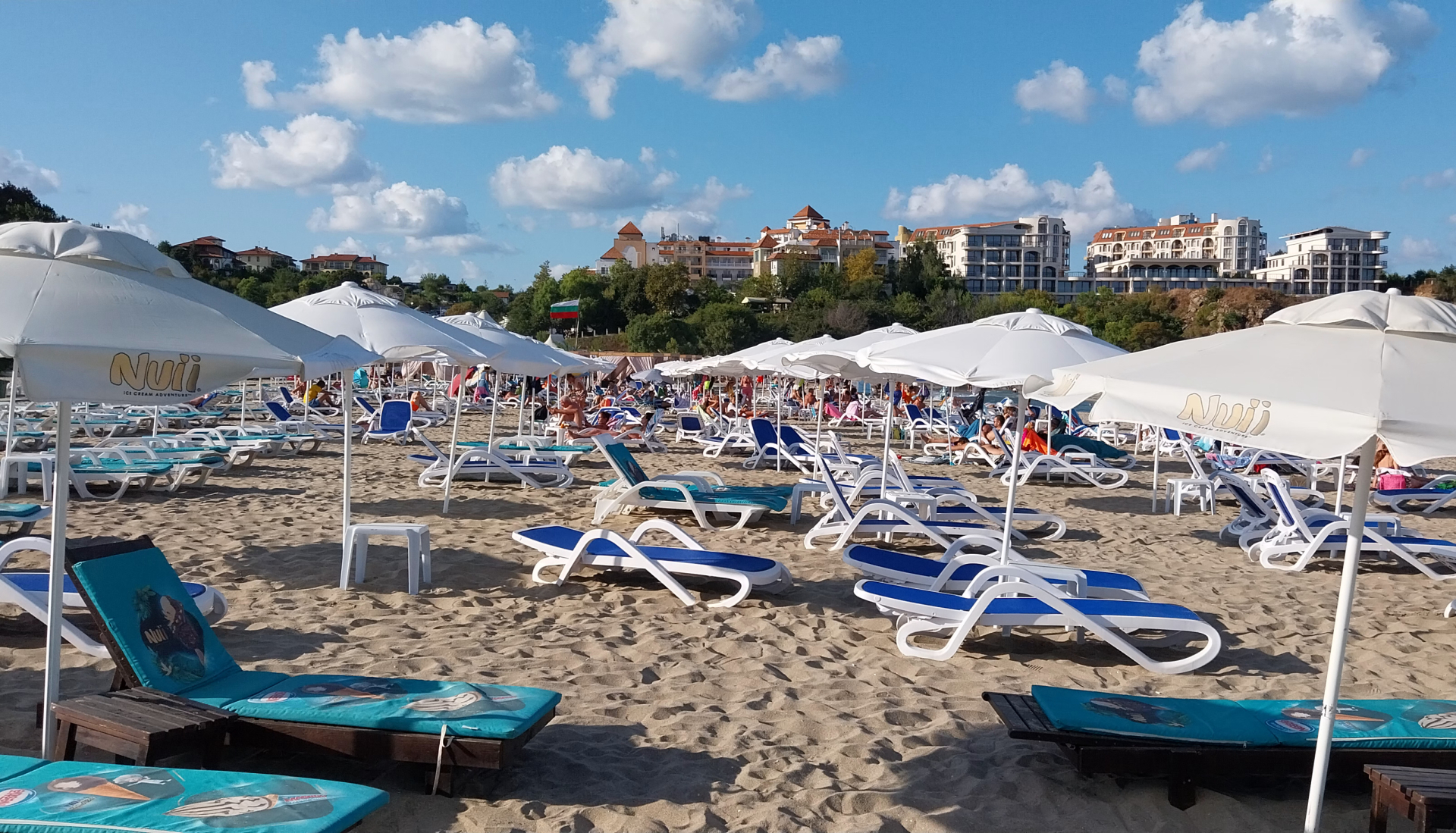 Голяма криза налегна родното Черноморие, а цените...