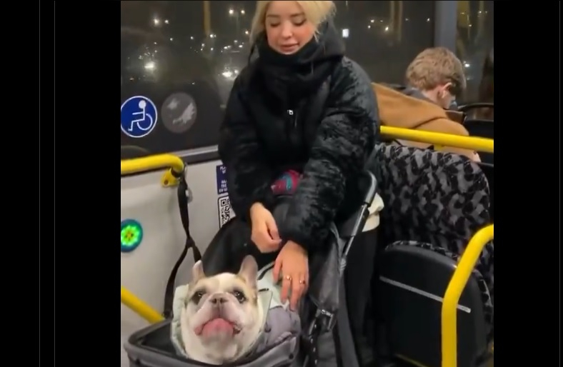 Забавно: Вижте как приказливо куче се оплаква от живота ВИДЕО
