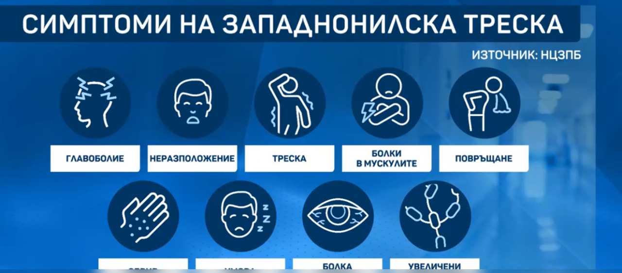 Д-р Николова: Александър Македонски е умрял от западнонилска треска
