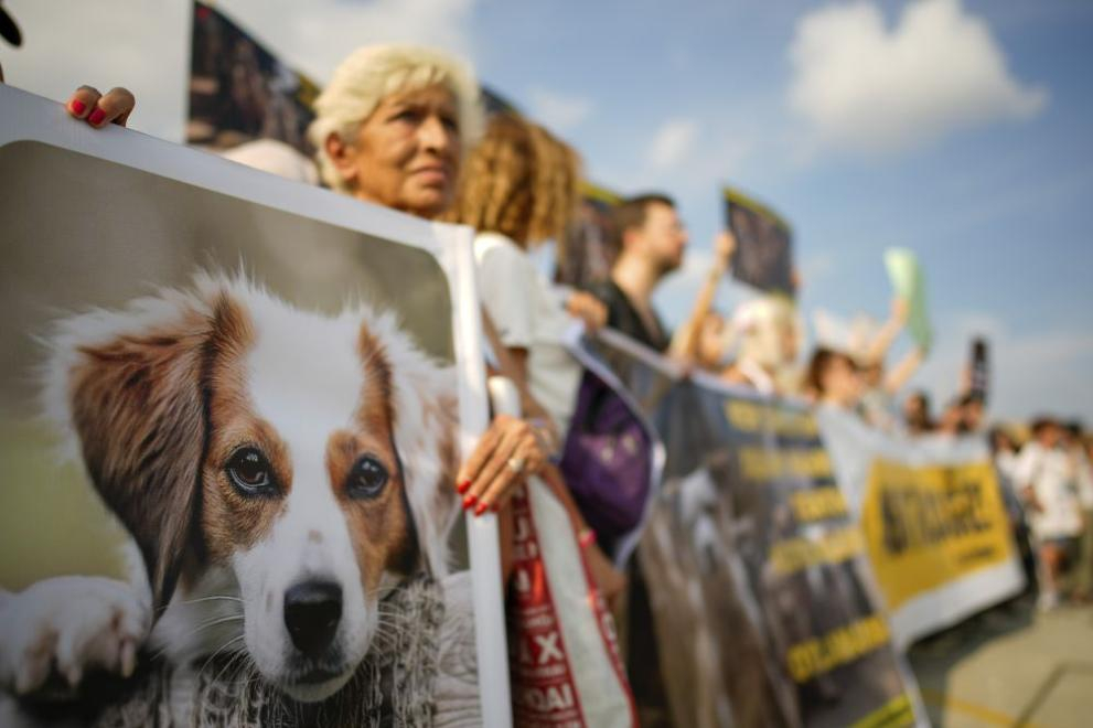 Хиляди турци протестираха срещу закон, намесени са кучета