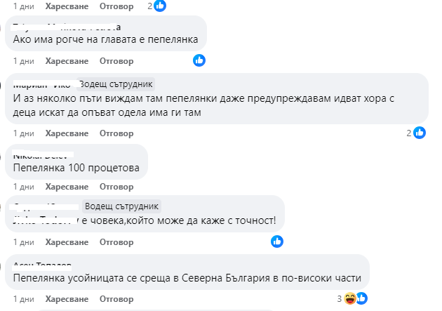 Смъртоносна твар се появи край парка в Асеновград, местните питат: Какво е това? СНИМКА