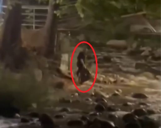 Невиждана наглост в Сандански, ще има ли глоба? ВИДЕО