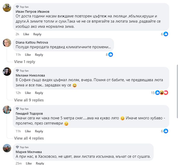 Неочаквана аномалия в с. Стража в края на лятото СНИМКИ 