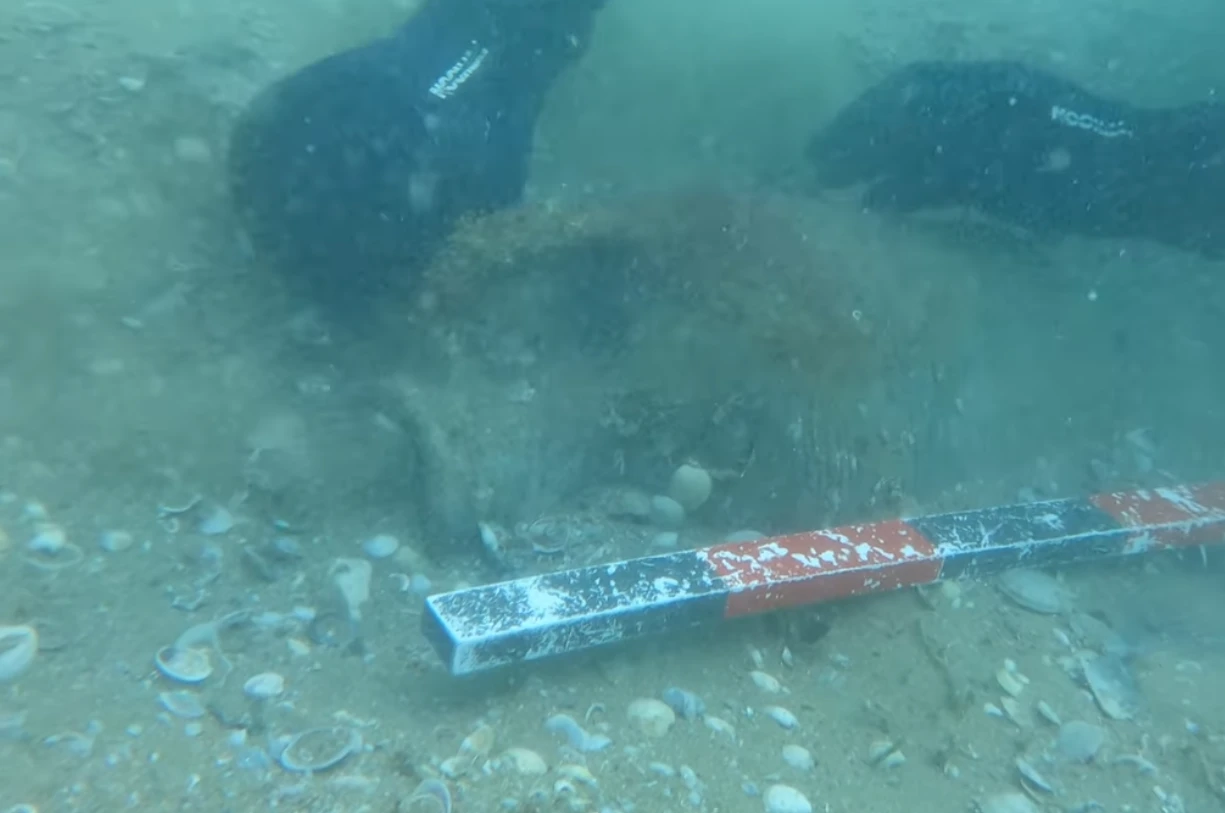 Изследователи откриха нещо уникално в морето край Созопол ВИДЕО