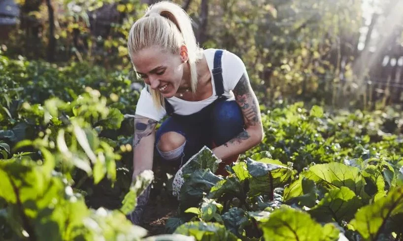 Секс история с блондинка в зеленчукова градина нагорещи всички 18+