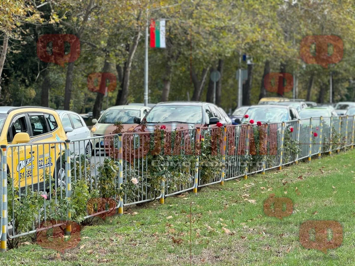 Свиреп екшън в Бургас! 4 патрулки приклещиха "Фолксваген" след бясна гонка, а вътре... СНИМКИ
