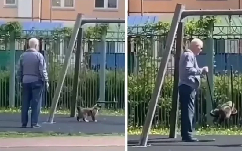 Такова нещо да прави котка никога досега не сте виждали ВИДЕО
