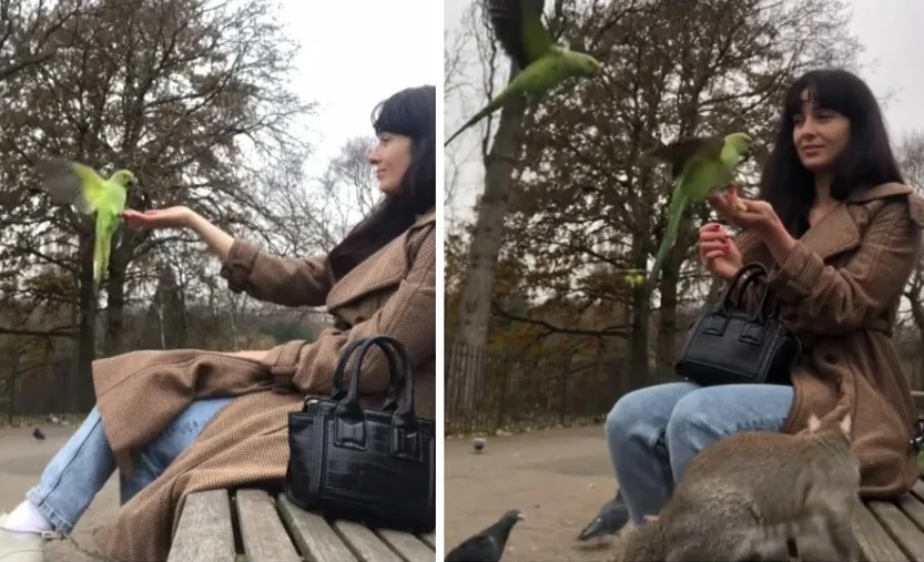 Вижте как девойка се почувства като принцеса от "Дисни" в реалния живот ВИДЕО