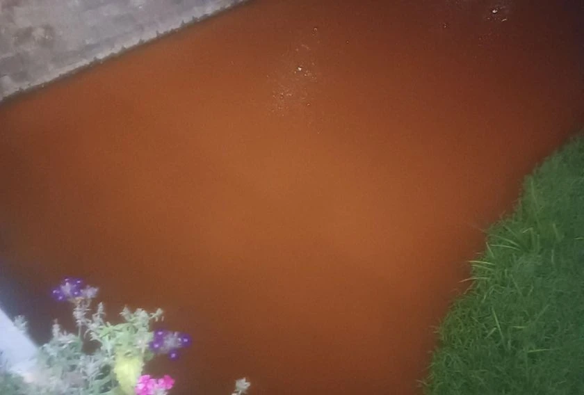 Светкавична реакция заради замърсената река Струма