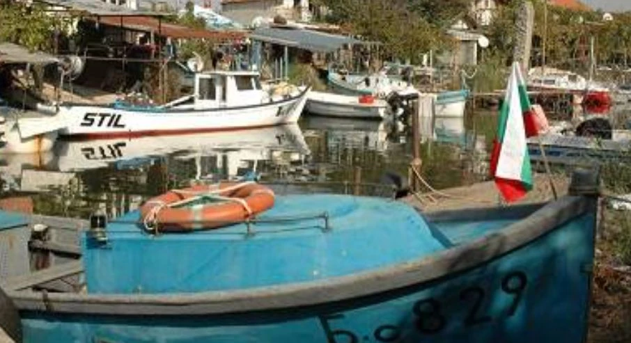 Рибарите в Ченгене скеле доволно потриват ръце! Морето завря от най-чаканата риба