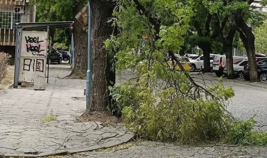 Слагайте каските! В Пловдив става все по-опасно заради бурното време