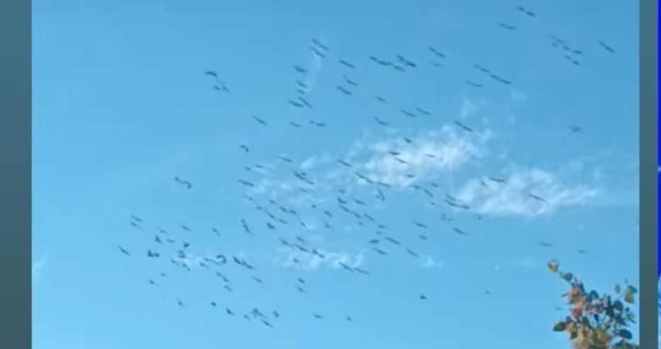 Необичайна гледка в небето притесни варненци ВИДЕО 