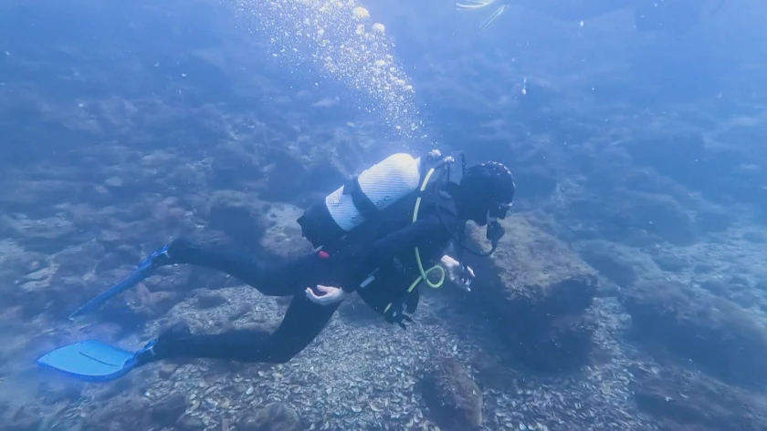 Нещо странно се случва на дъното на Черно море, но любим морски деликатес се върна! СНИМКИ