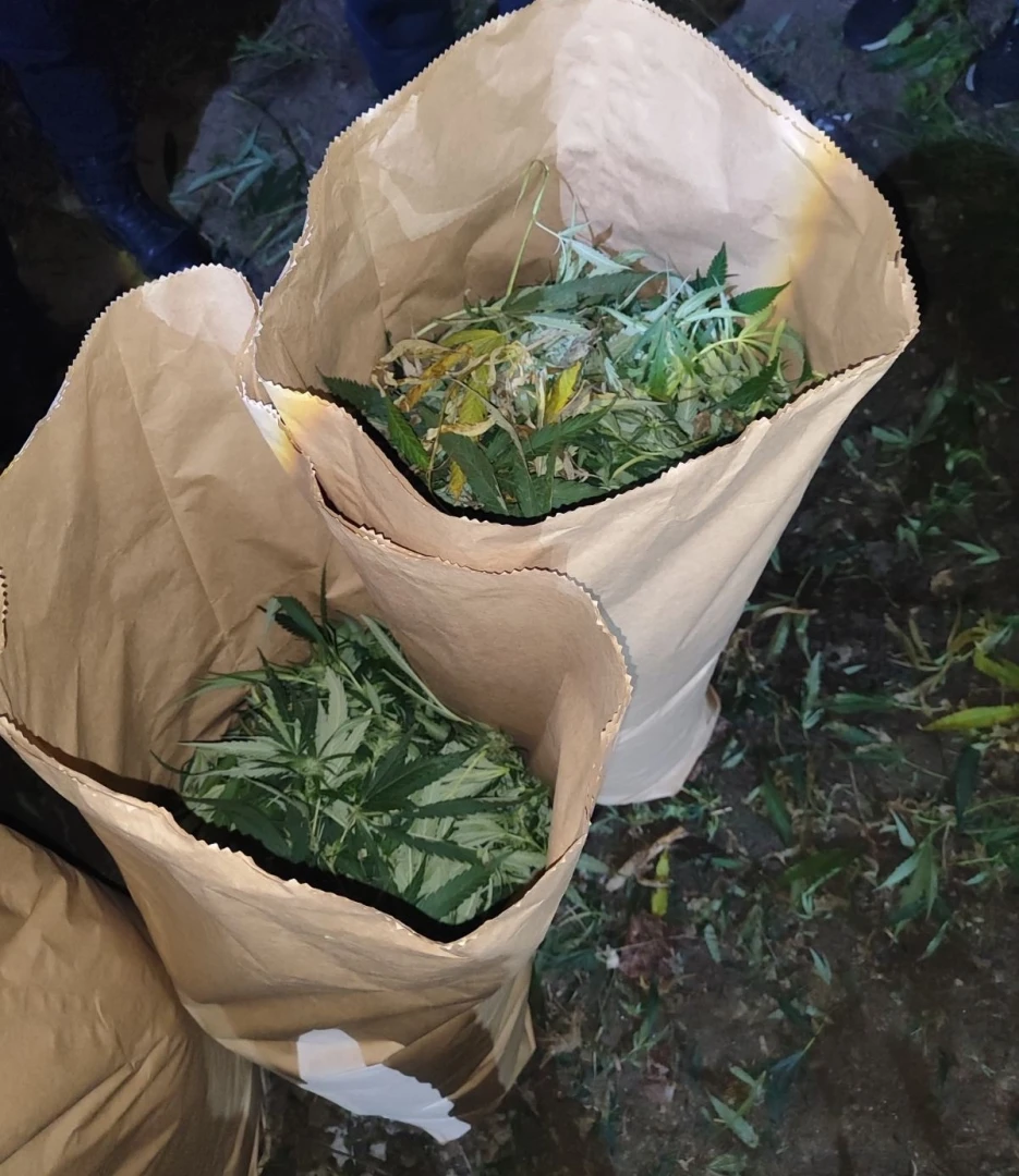Наркоакция в София, не е за вярване къде откриха куп дрога СНИМКИ