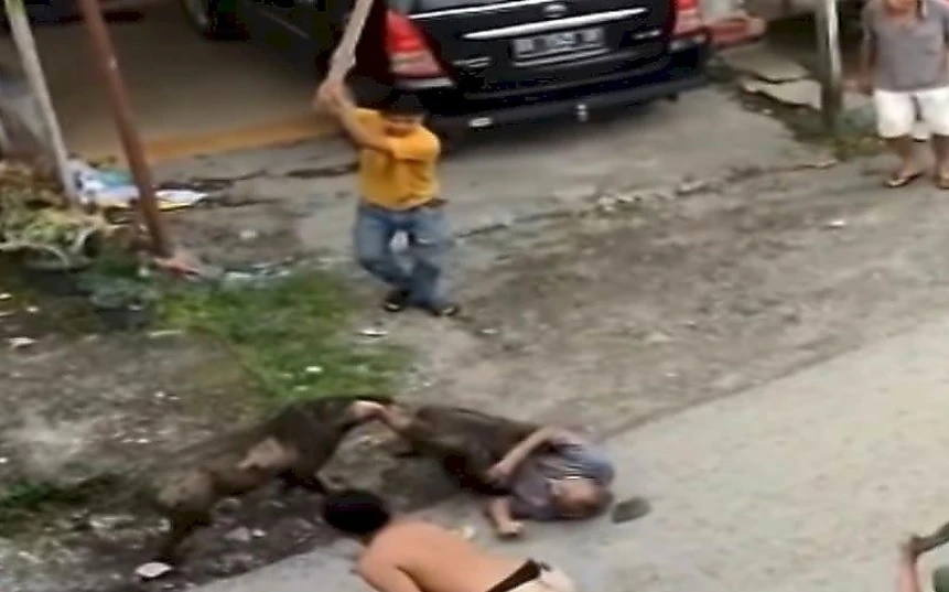 Разгневен глиган нападна и нахапа зловещо мъж ВИДЕО 18+