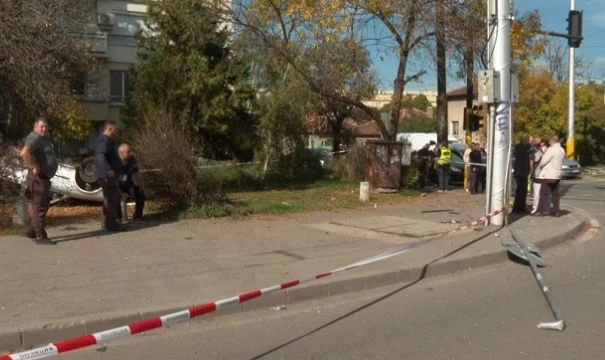 Щеше ли да е жива слънчевата Зори, ако преди 2 години не бяха направили това? ВИДЕО