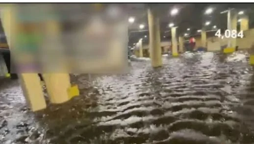 Влогър рискува живота си и засне брутално ВИДЕО на чудовището "Милтън" за пари