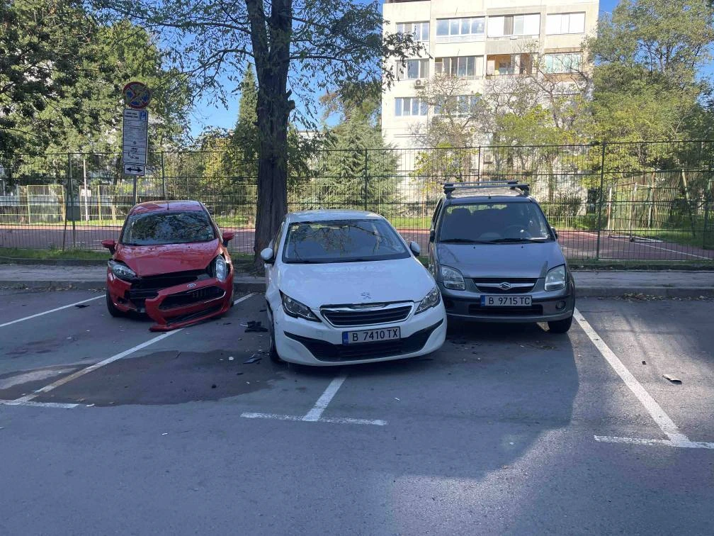 "Котката е виновна". Меле на варненски паркинг предизвика смях и подигравки СНИМКИ