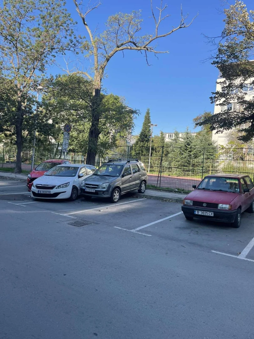 "Котката е виновна". Меле на варненски паркинг предизвика смях и подигравки СНИМКИ