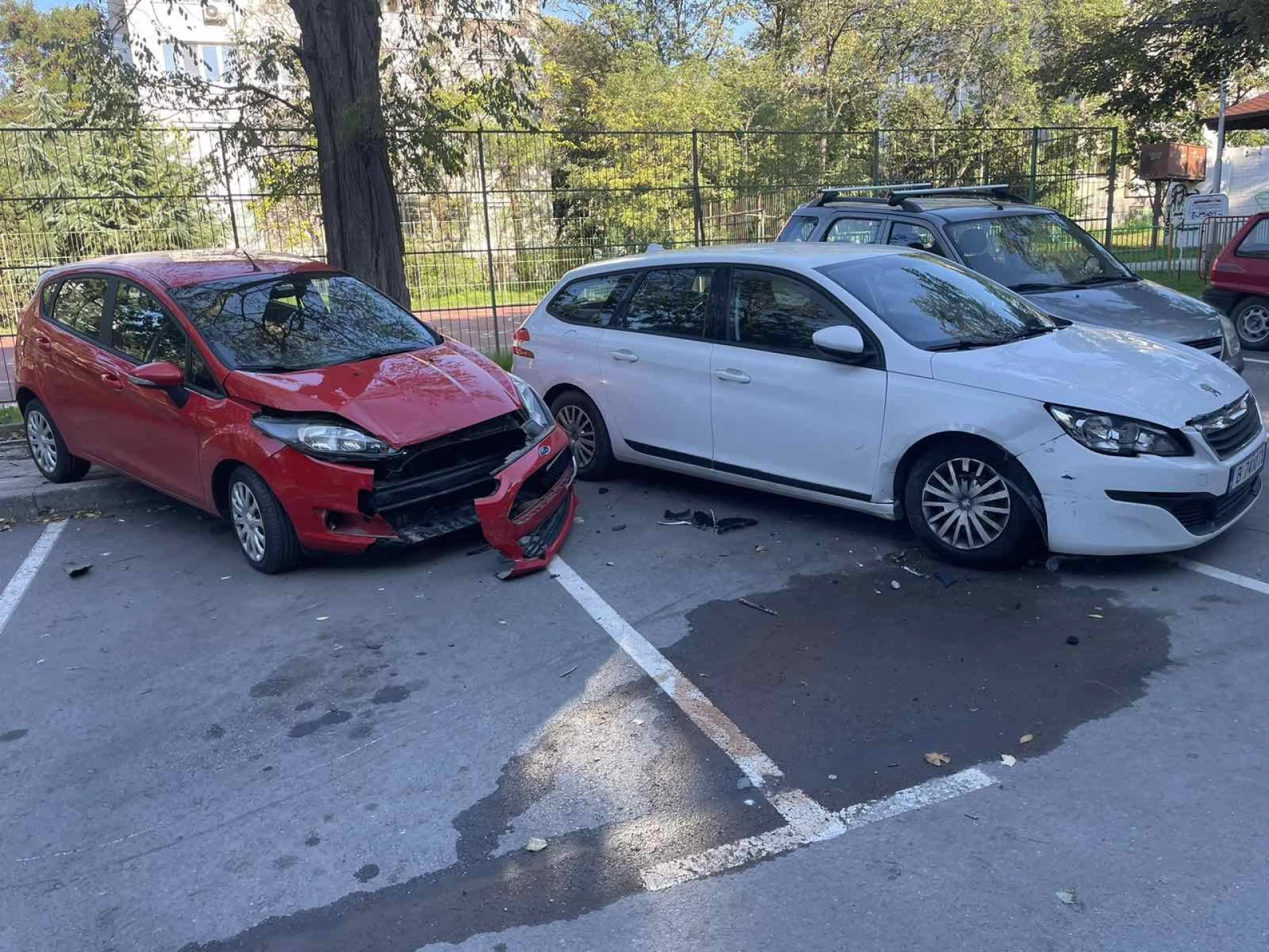 "Котката е виновна". Меле на варненски паркинг предизвика смях и подигравки СНИМКИ