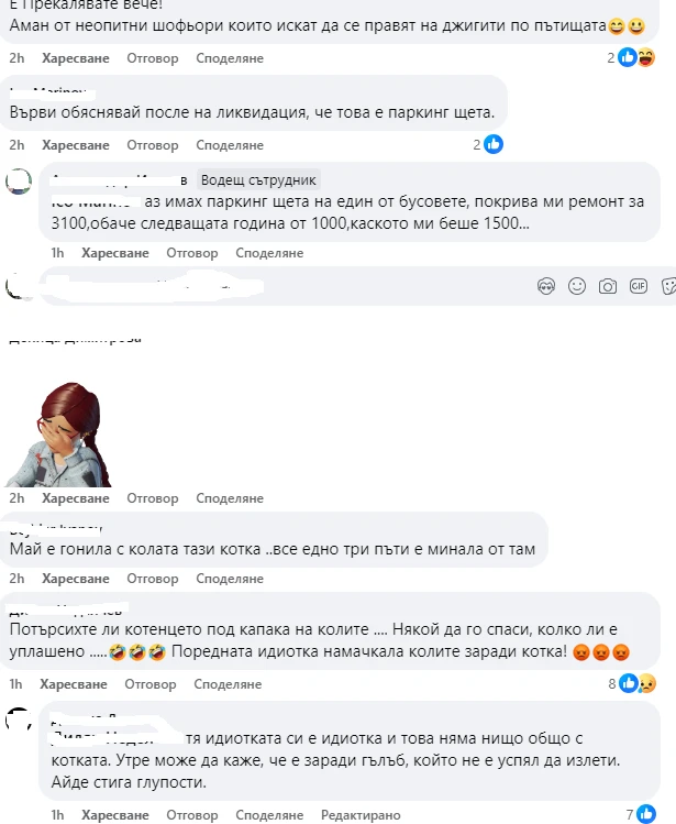 "Котката е виновна". Меле на варненски паркинг предизвика смях и подигравки СНИМКИ