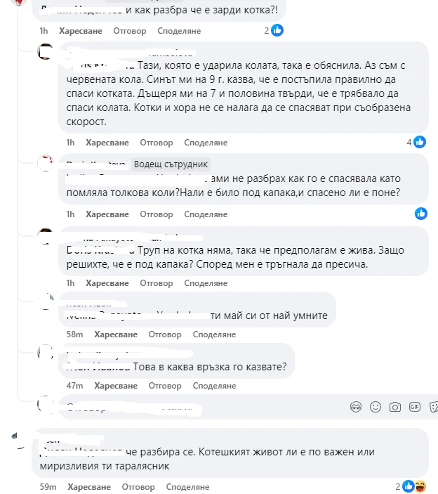 "Котката е виновна". Меле на варненски паркинг предизвика смях и подигравки СНИМКИ