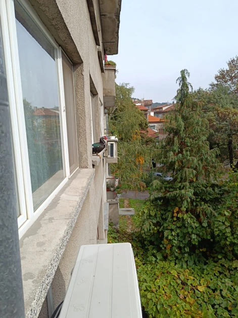 Всички в Дупница са в шок от това, което кацна на прозореца на Валери СНИМКИ