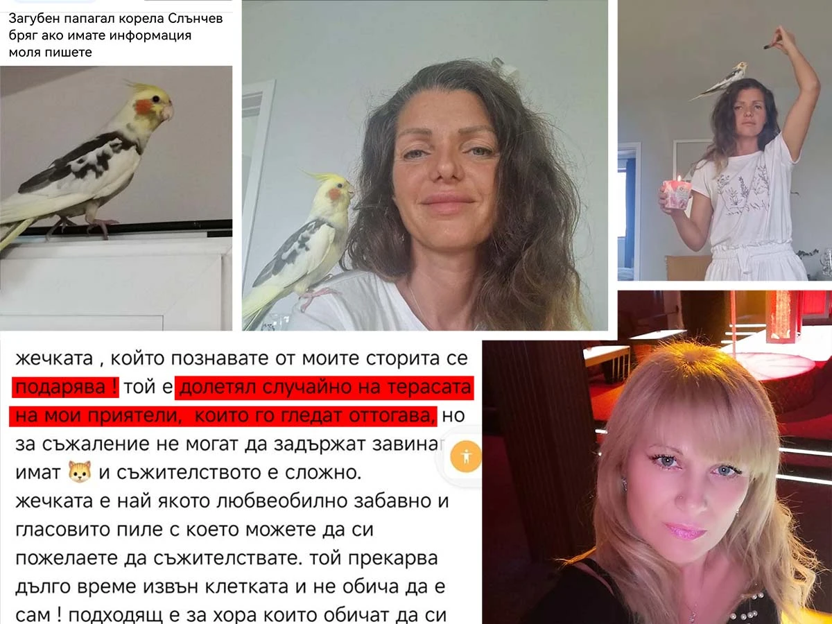 Пловдивчанка с драма - изгуби Чочо, те го намериха, прекръстиха го на Жечката и не ѝ го дават