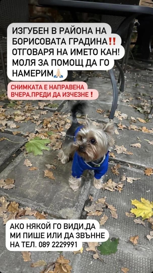 10 г. Никол не иска подаръците за рождения си ден, а само кученцето от СНИМКАТА да... 