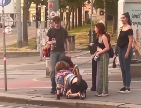 Родопчанин отиде на гурбет в Германия и остана в потрес от тази гледка СНИМКИ 