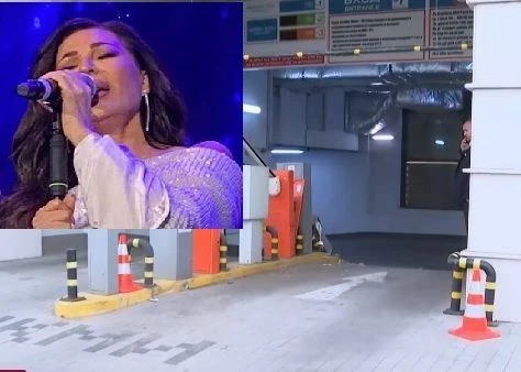 Цеца Величкович е ударена в среднощния екшън до НДК СНИМКИ