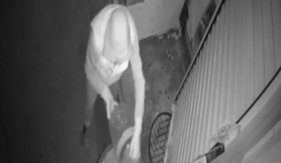Какво прави този пловдивски младеж? Това гнусно деяние ще ви потресе ВИДЕО