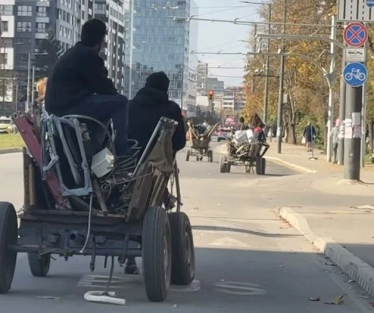 Уж има забрана, а положението в София е Лесли Каручка СНИМКИ 